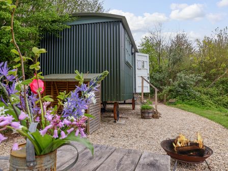A green shepherd hut with an open white door on a gravel path surrounded by greenery with a fire pit and a wooden table with flowers at Oak Shepherd Hut in Monkton Wyld near Charmouth