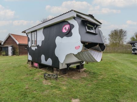 A small building painted like a cow with a hammock at the front on a grassy field at Betsy Cow Shed 2 in Campsea Ashe