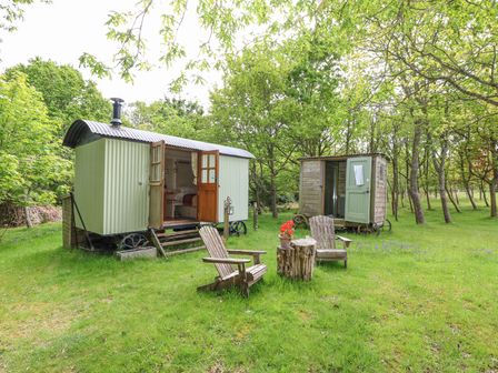 Two small wooden huts with open doors on grass surrounded by trees and two wooden chairs with a tree stump table at Sika in Warmwell