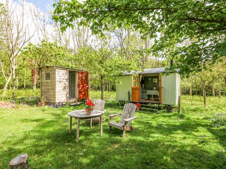 Two small wooden cabins in a grassy area with trees and outdoor wooden table and chairs with red flowers at Fallow in Warmwell