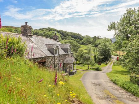 A stone cottage beside a country road with grass and wildflowers at Ty Glan Yr Afon in Bontddu near Dolgellau