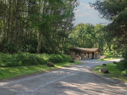 A gravel driveway leading to a wooden cabin surrounded by trees and greenery at Cedar Lodge in Rosliston