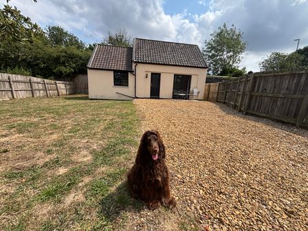 A house with a dog in a gravel yard at The Studio Marsham near Aylsham
