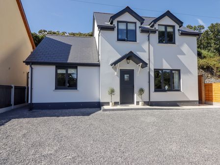 A house with a driveway at Hafan Y Gof in Newcastle Emlyn