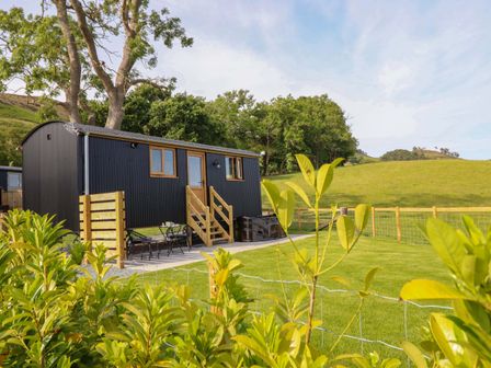 A outdoor photo of a shed with steps and seating area at Defaid Cymreig Oswestry