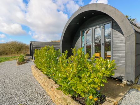 A pod with plants and gravel pathway at Lodge 2 near Pontyates