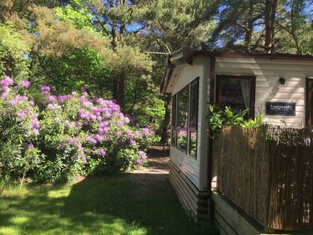 a holiday home surrounded by greenery and flowers at Kelling Heath Holiday Park - Holiday Accommodation 12993, Holt
