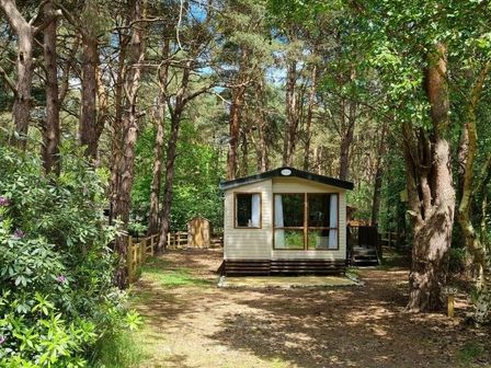 a holiday cabin surrounded by trees at Kelling Heath Holiday Park - Holiday Accommodation 15438 Weybourne