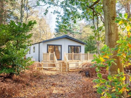 a holiday lodge with a wooden deck surrounded by trees at Kelling Heath Holiday Park - Holiday Accommodation 16221 in Holt