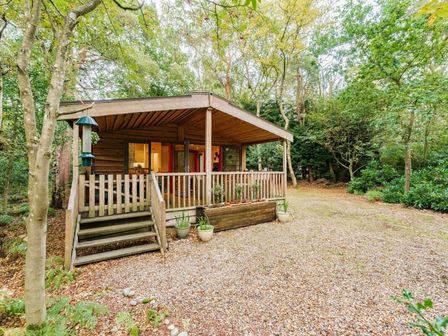 a wooden cabin with a porch surrounded by trees at Kelling Heath Holiday Park - Holiday Accommodation 18691, Holt