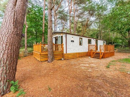 a holiday home surrounded by trees with a wooden deck at Kelling Heath Holiday Park - Holiday Accommodation 19233 in Weybourne