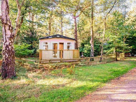 a cabin surrounded by trees with a wooden deck at Kelling Heath Holiday Park - Holiday Accommodation 20957 Weybourne