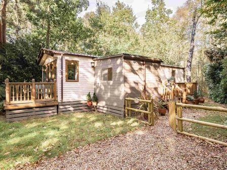 a wooden cabin with a deck surrounded by trees at Kelling Heath Holiday Park - Holiday Accommodation 20958 in Weybourne