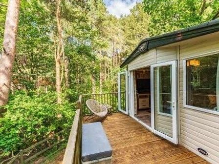a deck area with a wooden floor and an outdoor chair overlooking trees at Kelling Heath Holiday Park - Holiday Accommodation 22244 in Holt