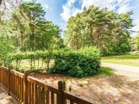 a view of trees and bushes from a wooden deck at Kelling Heath Holiday Park - Holiday Accommodation 22249, Holt