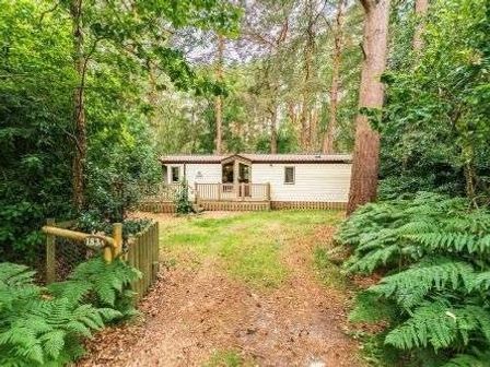 a holiday cabin surrounded by trees and ferns at Kelling Heath Holiday Park - Holiday Accommodation 22250 in Holt