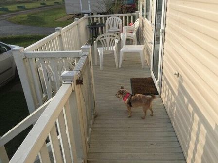 a wooden deck with white plastic chairs and a small table at Caister Holiday Park - Holiday Accommodation 3820 Caister-on-sea