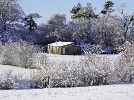 A house surrounded by snow-covered bushes and trees at Lawson in Wigton