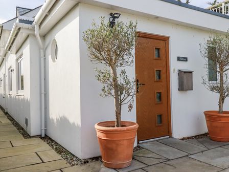 An entrance with a wooden door and potted plants at Hillbre in Trevone