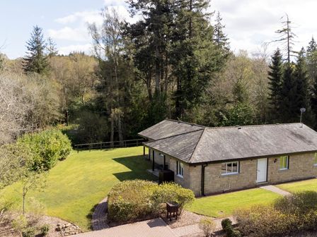 A house with a garden and trees at The Allensford in Slaley