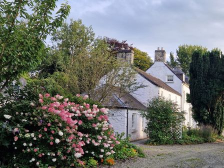 A house surrounded by gardens and flowers at Secret Garden Cottage in Ciliau Aeron near Aberaeron