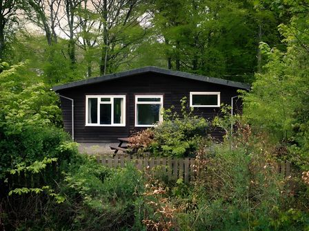 A house surrounded by greenery at Baillie Chalet in