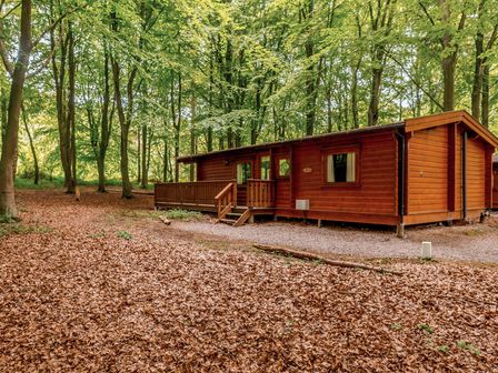 A wooden cabin in a forest surrounded by leaves at Maple Lodge in Louth