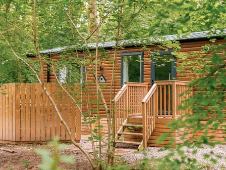 A wooden cabin with stairs and a fence in the woods at Alford Spa (Pet) Louth