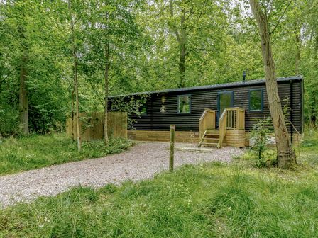 A cabin in a wooded area at Horncastle Plus (Pet) Louth