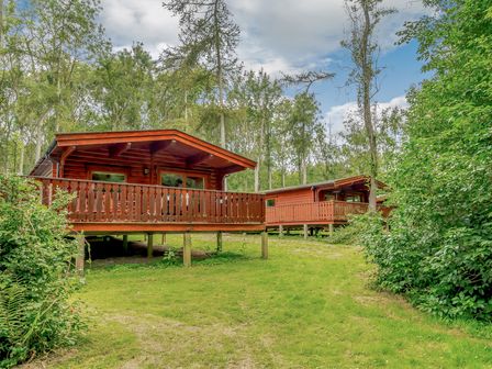 Log cabins with wooden decks surrounded by trees at Cedar Lodge in Louth