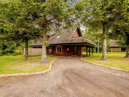 A house with a driveway and trees at Eagle Spa Plus (Pet) in Dundee