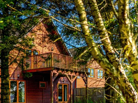 A house with a balcony and trees surrounding it at The Braveheart (Pet) Dundee
