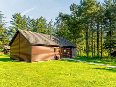 A cabin surrounded by trees and grass at Muirloch Spa Plus (Pet) Dundee