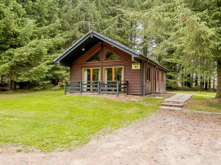 A log cabin with a deck and pathway at Barnard Lodge (Pet) Dundee