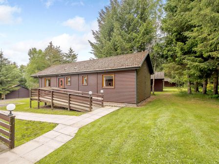 A cabin surrounded by trees and grass at Osprey Lodge in Dundee
