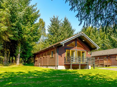 A cabin surrounded by trees at Osprey Lodge (Pet) Dundee