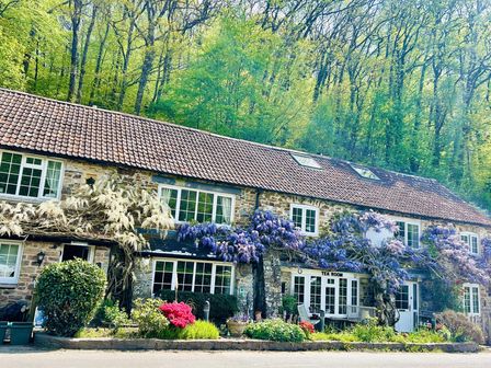 The Bark House