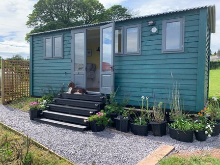 Bluebell Shepherd’s Hut