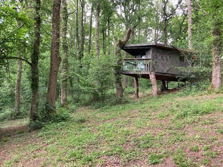 A tree house in a forest at The Tree House in the Woods Longhope
