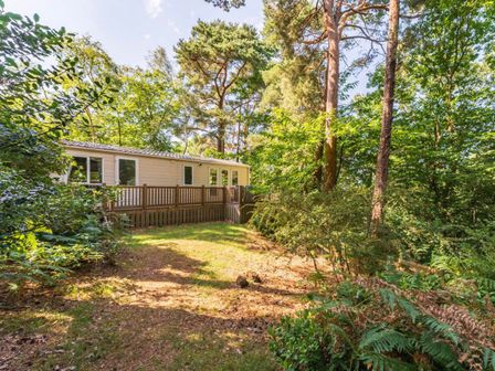 A cabin with a deck surrounded by trees at Fern View -Kelling Heath Holiday Park in Weybourne near Sheringham