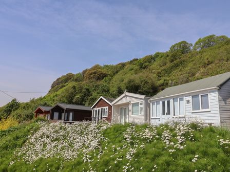 Four beach huts with flowers in the foreground at Salt & Stone Lyme Regis
