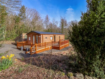 A wooden cabin with a deck surrounded by trees at Gardeners Lodge in
