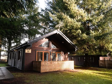 A cabin surrounded by trees at Sidlaw Spa in Fowlis near Dundee