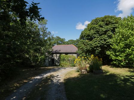 A house with trees and a driveway at Yr Hen Felin in Boncath