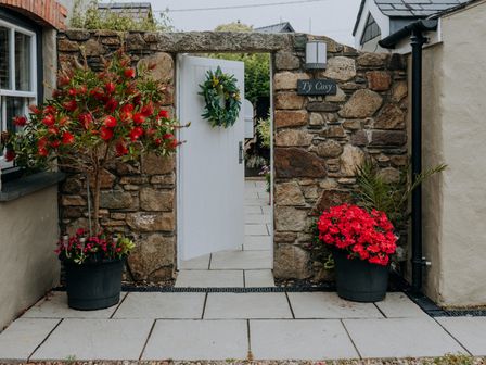 A stone pathway with a white door and flower pots at Ty Cosy in St Davids