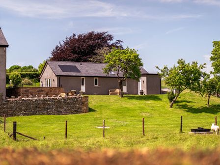A building surrounded by trees and grass at Bay Bungalow in