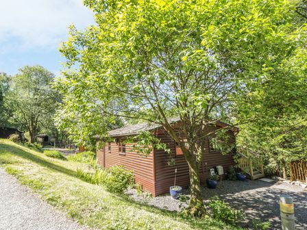 A wooden cabin surrounded by trees and plants with a gravel path nearby at Striding Edge in White Cross Bay near Troutbeck Bridge