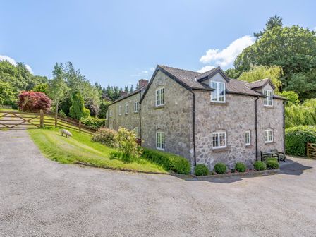 A stone house with windows and a gravel driveway surrounded by trees and bushes at Distyll Llanfwrog near Ruthin