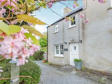 The exterior of a cottage with a white door and windows surrounded by greenery and pink flowers at Laburnham Cottage in Cresswell Quay near Pembroke