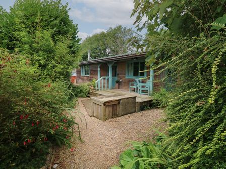 A gravel pathway leading to a wooden cabin with teal window frames and chairs surrounded by bushes and plants at Timbertwig Lodge in Lamphey near Pembroke